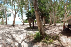 20161030_112056-resized-1600