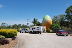 20161110_132654-resized-1600