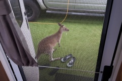 20190113_193102-resized-1600