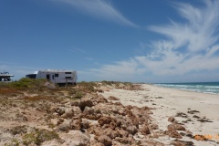 p1010447-resized-1600